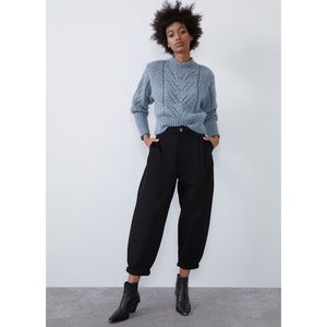 Zara Slouchy Pleated Pants 7385/288